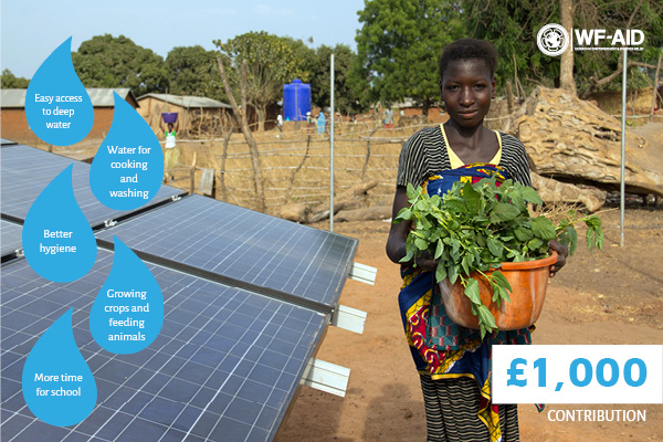 Solar powered well